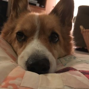 Meet your Posher, Carlee